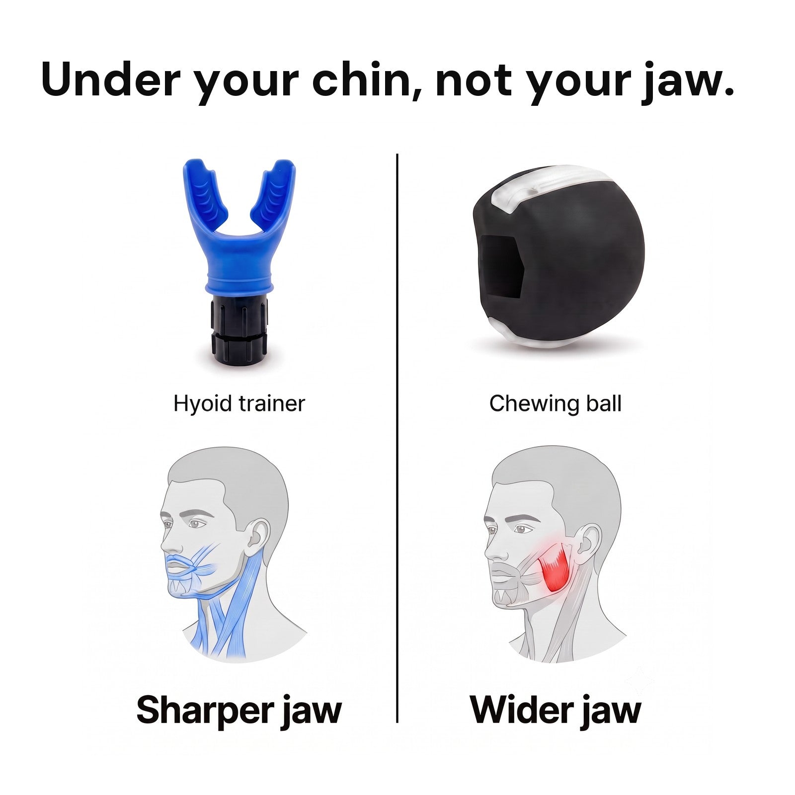HYOIDR trains the muscles under the chin, a chewing ball trains the jaw muscle